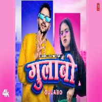 Gulabo Md Desi Rockstar Zorawar Singh New Haryanvi Songs Haryanavi 2023 By MD Desi Rockstar Poster